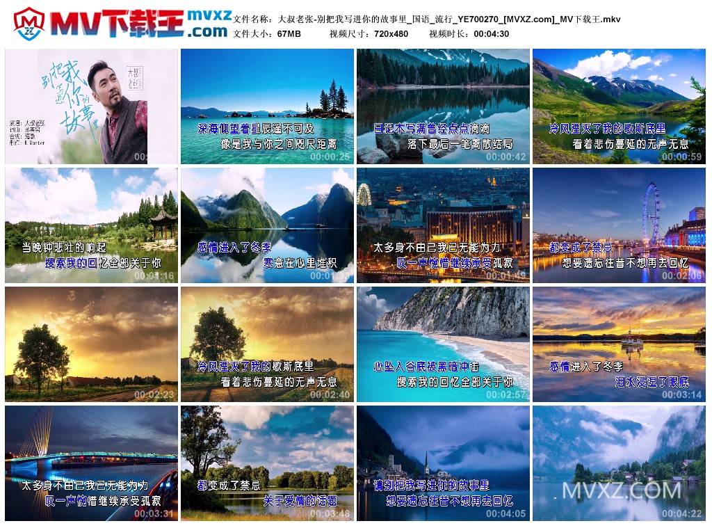 大叔老张-别把我写进你的故事里_国语_流行_YE700270